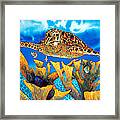 Friendly Hawksbill Sea Turtle Framed Print