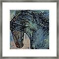 Friesian Stallion Framed Print