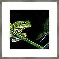 Frog And Dragonfly Framed Print