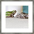 Frog Flatulence - A Case Study Framed Print