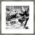From The Crater Slope - Infrared Framed Print