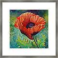 From The Poppy Patch Framed Print