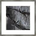 Frost On The Wire Framed Print