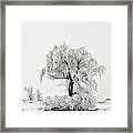 Frosted Framed Print