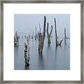 Frozen And Foggy World ........ Framed Print