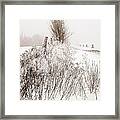 Frozen Fog On A Hedgerow - Bw Framed Print
