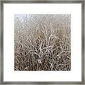 Frozen Grass Framed Print