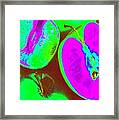 Fruitilicious - Lime And Green Apples - Photopower 1817 Framed Print
