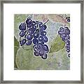 Fruits Of The Wine Framed Print