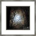 Full Moon Through The Trees Framed Print