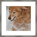 Fun In The Snow Framed Print