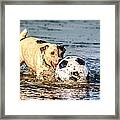 Fun In The Surf Framed Print