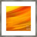 Fury In Color Framed Print