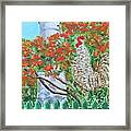 Gallo Pinto Rooster Framed Print