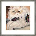 Gandolph's Scarf Framed Print