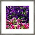 Garden Cascade Framed Print