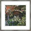 Garden Climb Framed Print