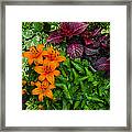 Garden Colors Framed Print