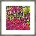 Garden In The Fall Framed Print