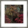 Garden Of Eden Framed Print