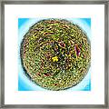 Garden Planet Framed Print