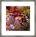 Garden Pond Framed Print
