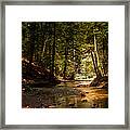 Gathering At The Stream Framed Print