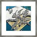 Gator Platform Framed Print