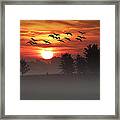 Geese On A Foggy Morning Sunrise Framed Print