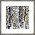 Gently Falling Forest Snow Framed Print