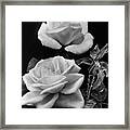 'george Arends' Roses Framed Print