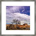 Georgia O'keefe's Tree Caught Between Kitchen And Matrimonial Mesa - Ghost Ranch Abiquiu New Mexico Framed Print