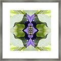 Gerbera Flower Framed Print