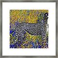 Ghost Cheetah Framed Print