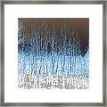 Ghost Trees Framed Print