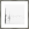 Ghost Trees Lake Conway Framed Print