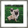 Giacomo And Luca Framed Print