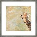 Giraffe Art Framed Print