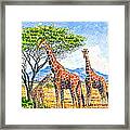 Giraffes With Baby Framed Print