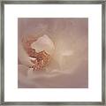 Giving Angel Framed Print