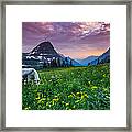 Glacier National Park 4 Framed Print