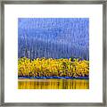 Glacier National Park In Montana Usa Framed Print