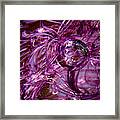 Glass Macro - Deep Pinks Framed Print