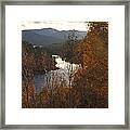 Silver And Gold - Glen Affric - Scotland Framed Print