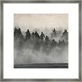 Glimpse Of Mist And Trees Framed Print