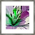 Glowing Lily Heart Framed Print
