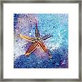 Glowing Starfish In The Sand Framed Print