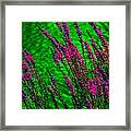 Go Green Framed Print