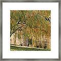 Gold Autumn Framed Print