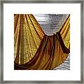 Gold Colored Cloth Hanging In Front Framed Print